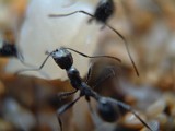 Photo_0002684