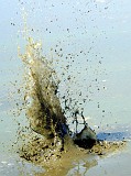 Photo_0002830
