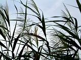 Photo_0002841