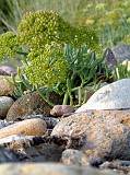 Photo_0002843