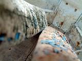 Photo_0002857