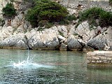 Photo_0002908