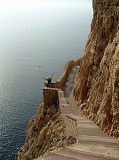 Photo_0003021
