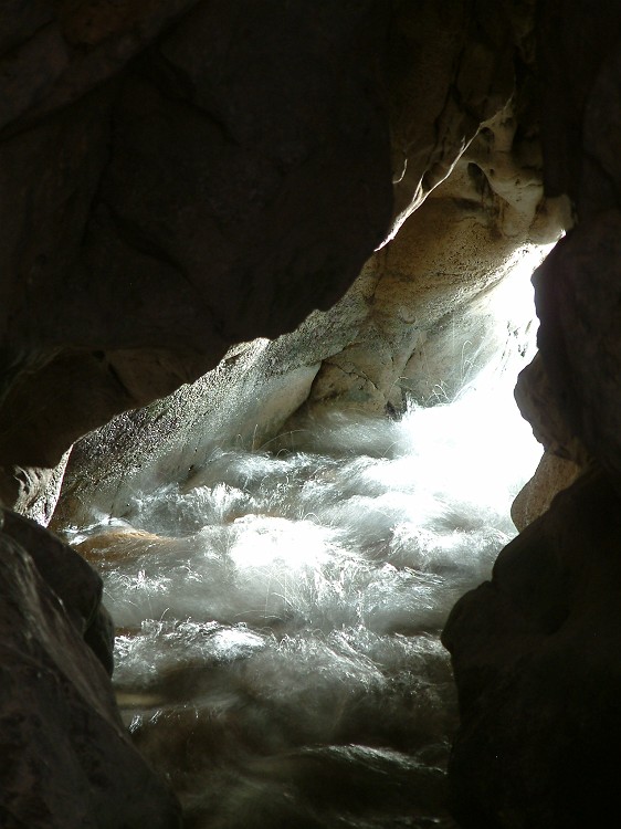 Photo_0016495