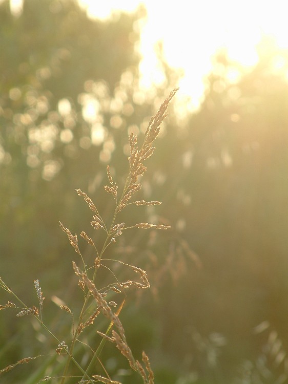 Photo_0016500