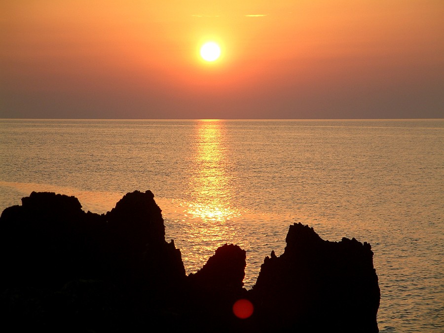 Photo_0016508