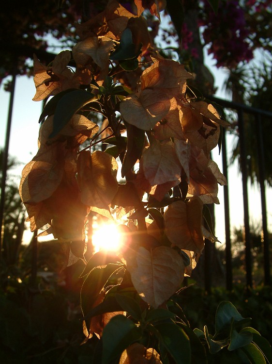Photo_0016665