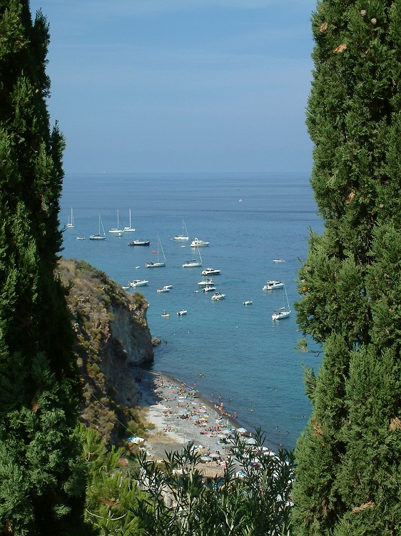 Photo_0016944