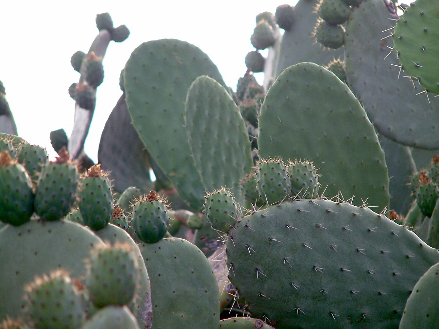 Photo_0016964
