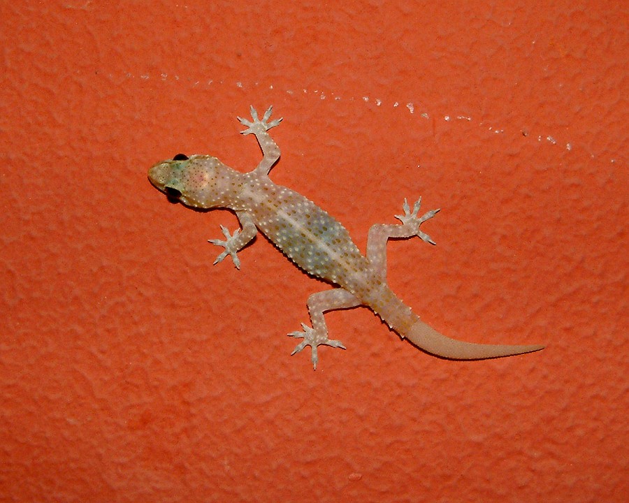 Photo_0016978