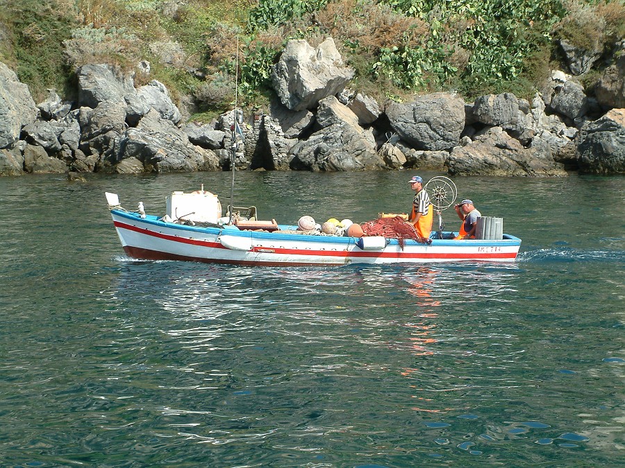 Photo_0016992