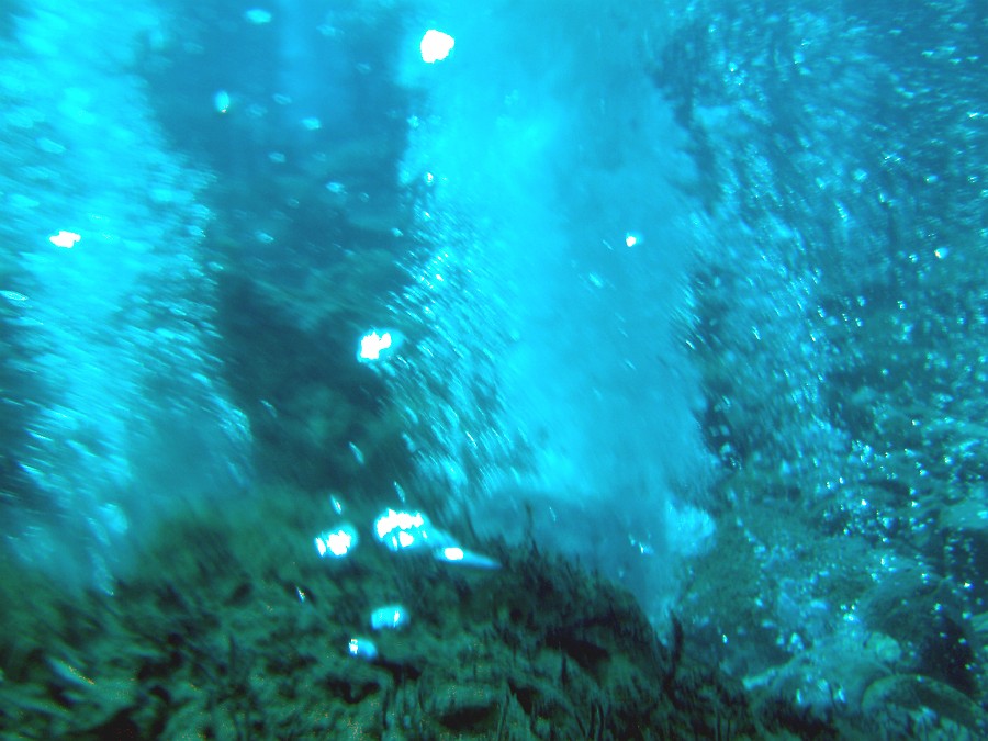 Photo_0017044