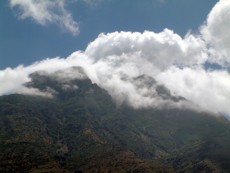 Photo_0017383