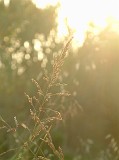 Photo_0016500