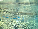 Photo_0016560