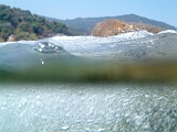 Photo_0016611