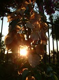 Photo_0016665