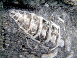 Photo_0016757