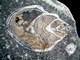 Photo_0016759
