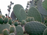 Photo_0016964