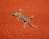 Photo_0016978