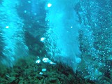 Photo_0017044