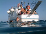 Photo_0017051