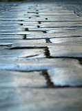 Photo_0017431