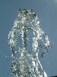 Photo_0017452