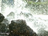 Photo_0017490