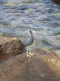 Photo_0072799_Canon_G10