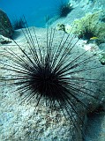 Photo_0072840_Canon_G10