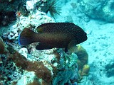 Photo_0072925_Canon_G10