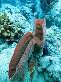 Photo_0072935_Canon_G10