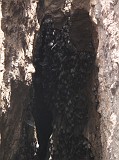 Photo_0073232_Canon_G10