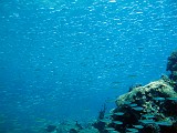 Photo_0073282_Canon_G10
