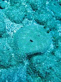 Photo_0073303_Canon_G10
