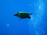 Photo_0073521_Canon_G10
