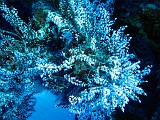 Photo_0073550_Canon_G10