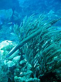 Photo_0073622_Canon_G10