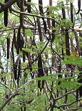 Photo_0073862_Canon_G10