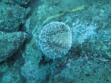Photo_0073910_Canon_G10