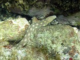 Photo_0073916_Canon_G10