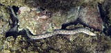 Photo_0073934_Canon_G10