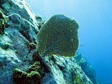 Photo_0074118_Canon_G10