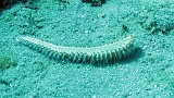 Photo_0074127_Canon_G10