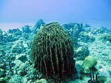 Photo_0074129_Canon_G10
