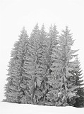 Photo_0084546_Canon_G12