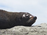 Photo_0085525_Canon_G12