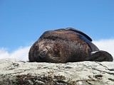 Photo_0085609_Canon_G12